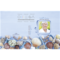 Seashells Heirloom Register Book