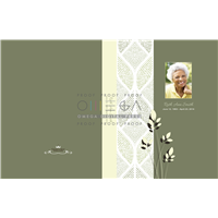 Olive Leaves Standard Simplicity Register Book