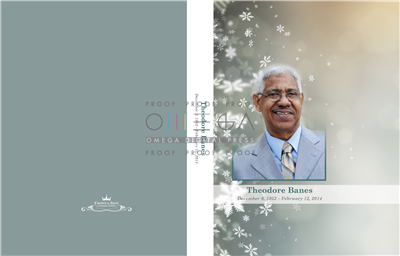 Snowflakes Simplicity Register Book Package